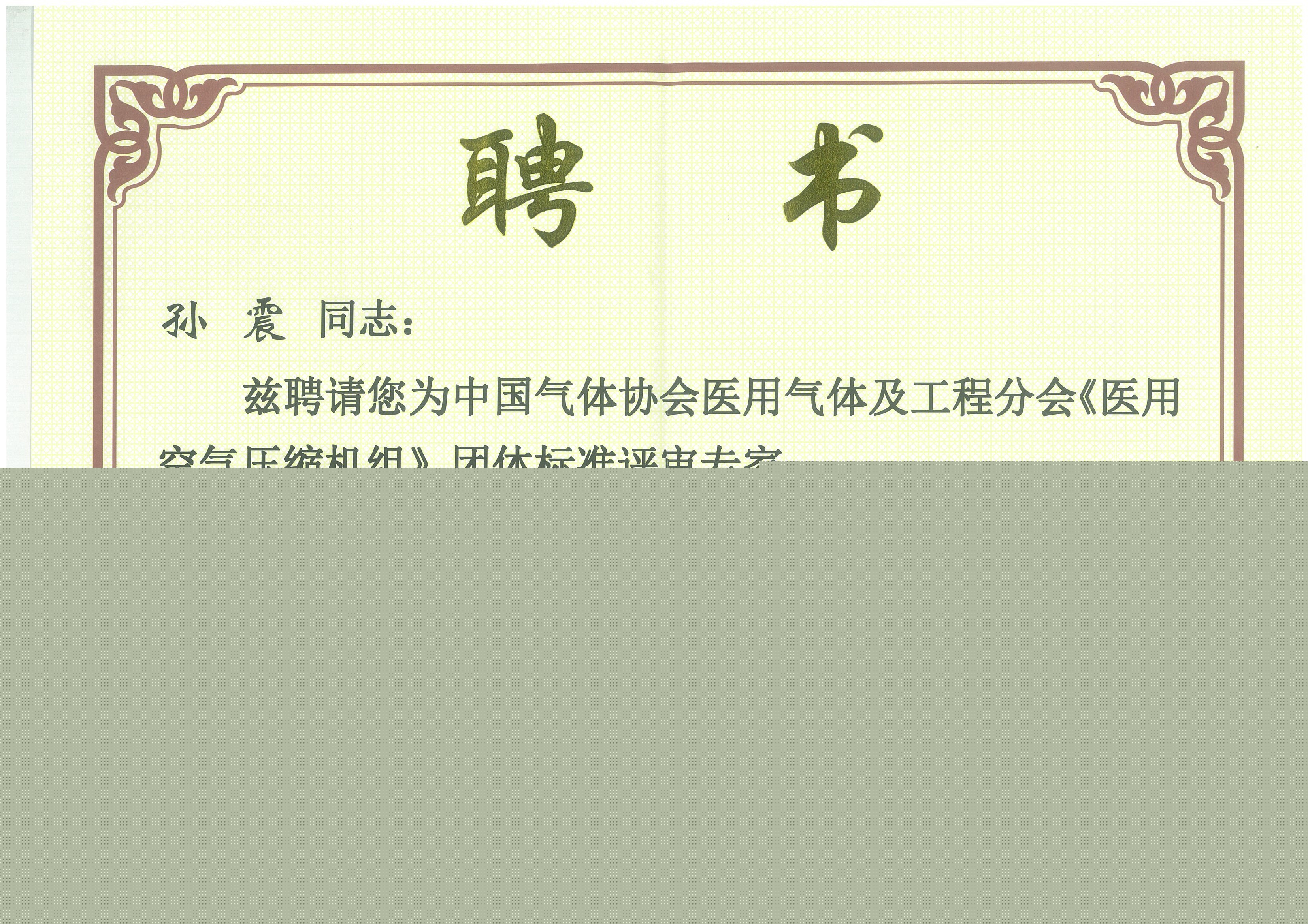 標(biāo)準(zhǔn)評審專家